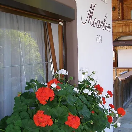 Moaeben - Panorama 阿尔卑巴赫