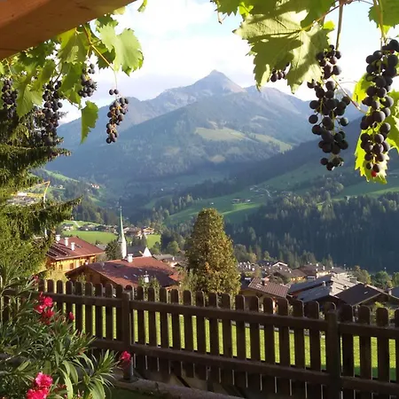 Haus Moaeben - Panorama *