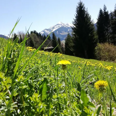 Haus Moaeben - Panorama