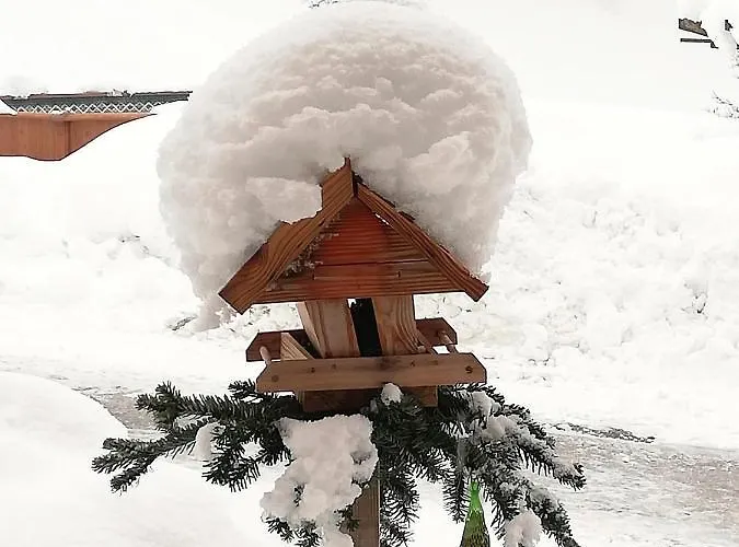 Appartamento Moaeben - Panorama Alpbach