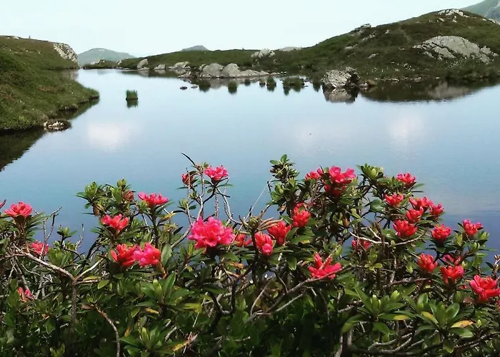 Moaeben - Panorama Appartamento Alpbach