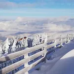Moaeben - Panorama Daire Alpbach