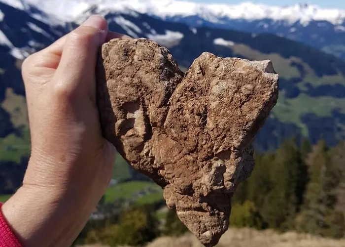 Moaeben - Panorama * Alpbach