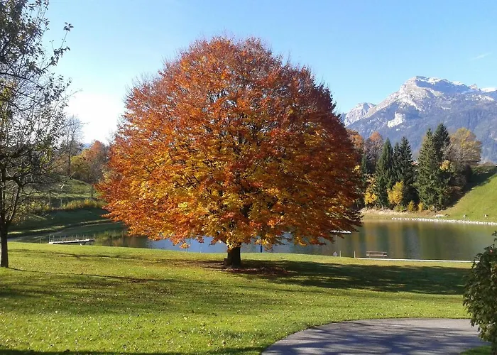 Moaeben - Panorama Apartment *