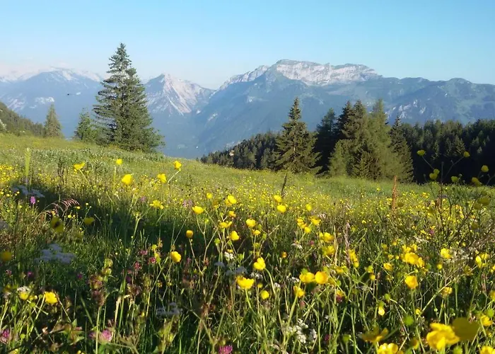 Moaeben - Panorama Lejlighed